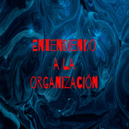 Podcast thumbnail for Entendiendo a la organización