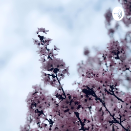 Podcast thumbnail for Brisa RG