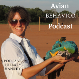 Podcast thumbnail for The Avian Behavior Podcast