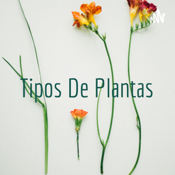 Podcast thumbnail for Tipos De Plantas
