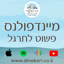 Podcast thumbnail for מיינדפולנס - פשוט לתרגל