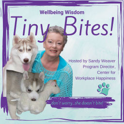 Podcast thumbnail for Wellbeing Wisdom Tiny Bites