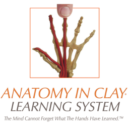 Podcast thumbnail for Anatomy in Clay® Learning System Podcast