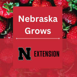 Podcast thumbnail for Nebraska Grows