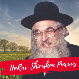 Podcast thumbnail for HaRav Shimshon Pincus