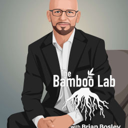 Podcast thumbnail for The Bamboo Lab Podcast