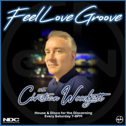 Podcast thumbnail for Feel Love Groove