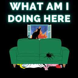 Podcast thumbnail for What am I doing here?