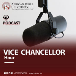 Podcast thumbnail for VC Hour