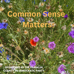 Podcast thumbnail for Common Sense Matters