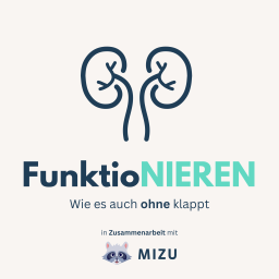 Podcast thumbnail for FunktioNIEREN - Wie es auch ohne klappt