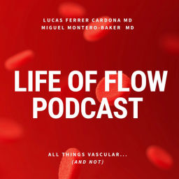 Podcast thumbnail for Life of Flow