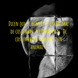 Podcast thumbnail for Dicen que el hombre es un animal de costumbre, pero más bien "De costumbre el hombre es un animal".