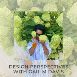 Podcast thumbnail for Design Perspectives