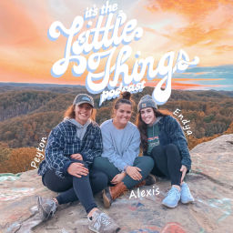 Podcast thumbnail for It’s The Little Things