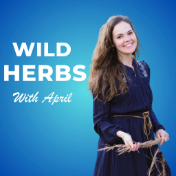 Podcast thumbnail for Wild Herbs with April
