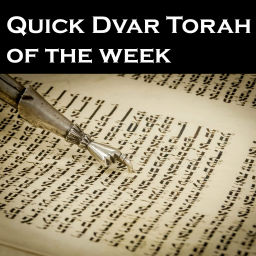 Podcast thumbnail for Quick Dvar Torah of the week