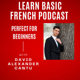 Podcast thumbnail for Learn Basic French Podcast