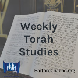 Podcast thumbnail for Weekly Torah Studies