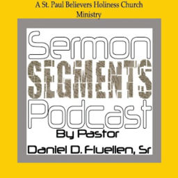 Podcast thumbnail for Sermon Segments Podcast