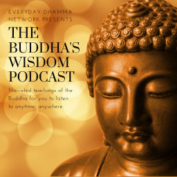 Podcast thumbnail for The Buddha’s Wisdom Podcast