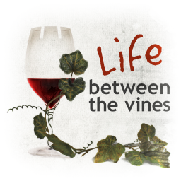 Podcast thumbnail for Life Between the Vines