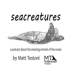 Podcast thumbnail for Seacreatures