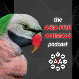 Podcast thumbnail for The Asia for Animals podcast