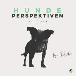 Podcast thumbnail for Hundeperspektiven