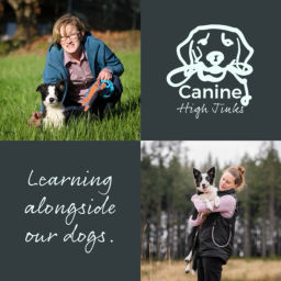 Podcast thumbnail for Canine High Jinks