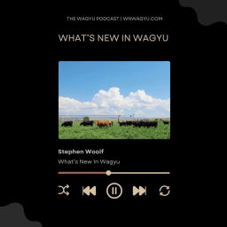 Podcast thumbnail for What’s New In Wagyu