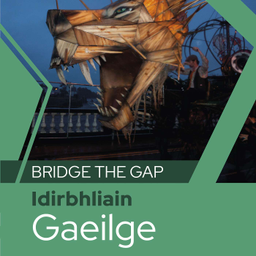 Podcast thumbnail for Bridge the Gap: Gaeilge don Idirbhliain