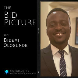 Podcast thumbnail for The Bid Picture with Bidemi Ologunde