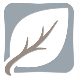 Podcast thumbnail for Sermons from First Baptist Church of Sherman, NY