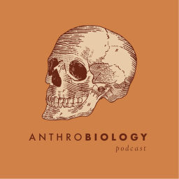 Podcast thumbnail for AnthroBiology Podcast