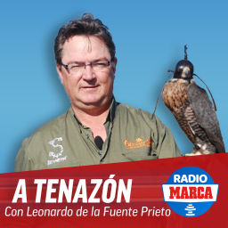 Podcast thumbnail for A Tenazón