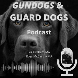 Podcast 4