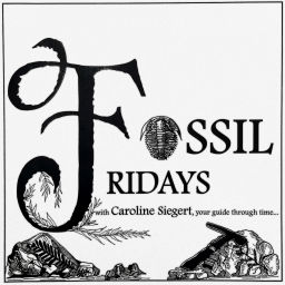 Podcast thumbnail for Fossil Fridays