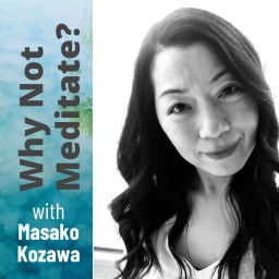 Podcast thumbnail for Why not meditate?