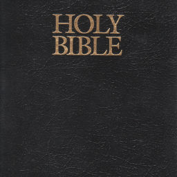 Podcast thumbnail for In-the-bible.com Podcast