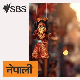 Podcast thumbnail for SBS Nepali - एसबीएस नेपाली पोडकास्ट