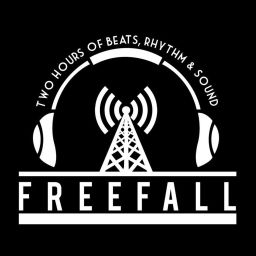 Podcast thumbnail for FreeFall w/David Bassin
