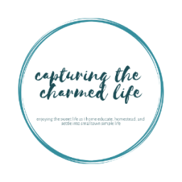 Podcast thumbnail for Homeschool Mama Self-Care: Nurturing the Nurturer