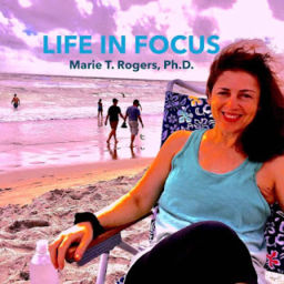 Podcast thumbnail for LIFE IN FOCUS