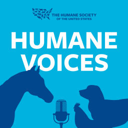 Podcast thumbnail for Humane Voices