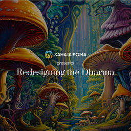 Podcast thumbnail for Redesigning the Dharma