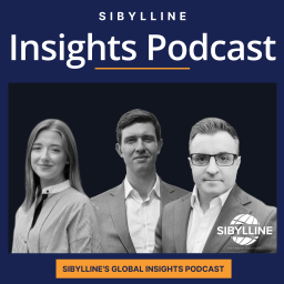 Podcast thumbnail for Sibylline Insights Podcast