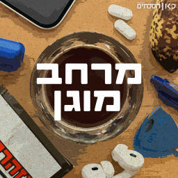 Podcast thumbnail for מרחב מוגן Safe Room