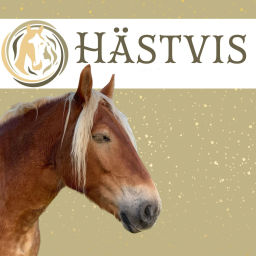 Podcast thumbnail for Hästvis - podden där hästar visar vägen
