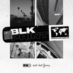 Podcast thumbnail for The BlkPrint